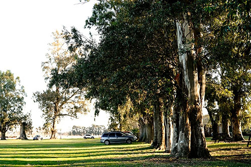 Dia de Campo - La Fernanda