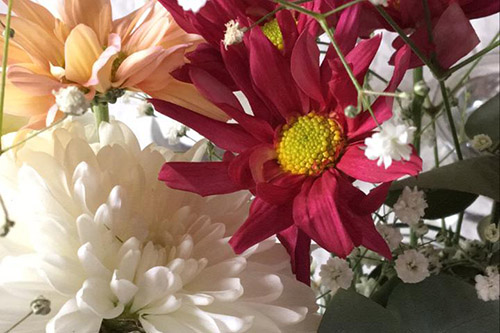Eventos La Dorotea